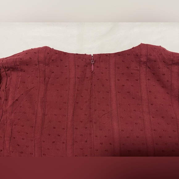 Madewell Button-Front Swing Dress in Swiss Dot - Picture 9 of 14